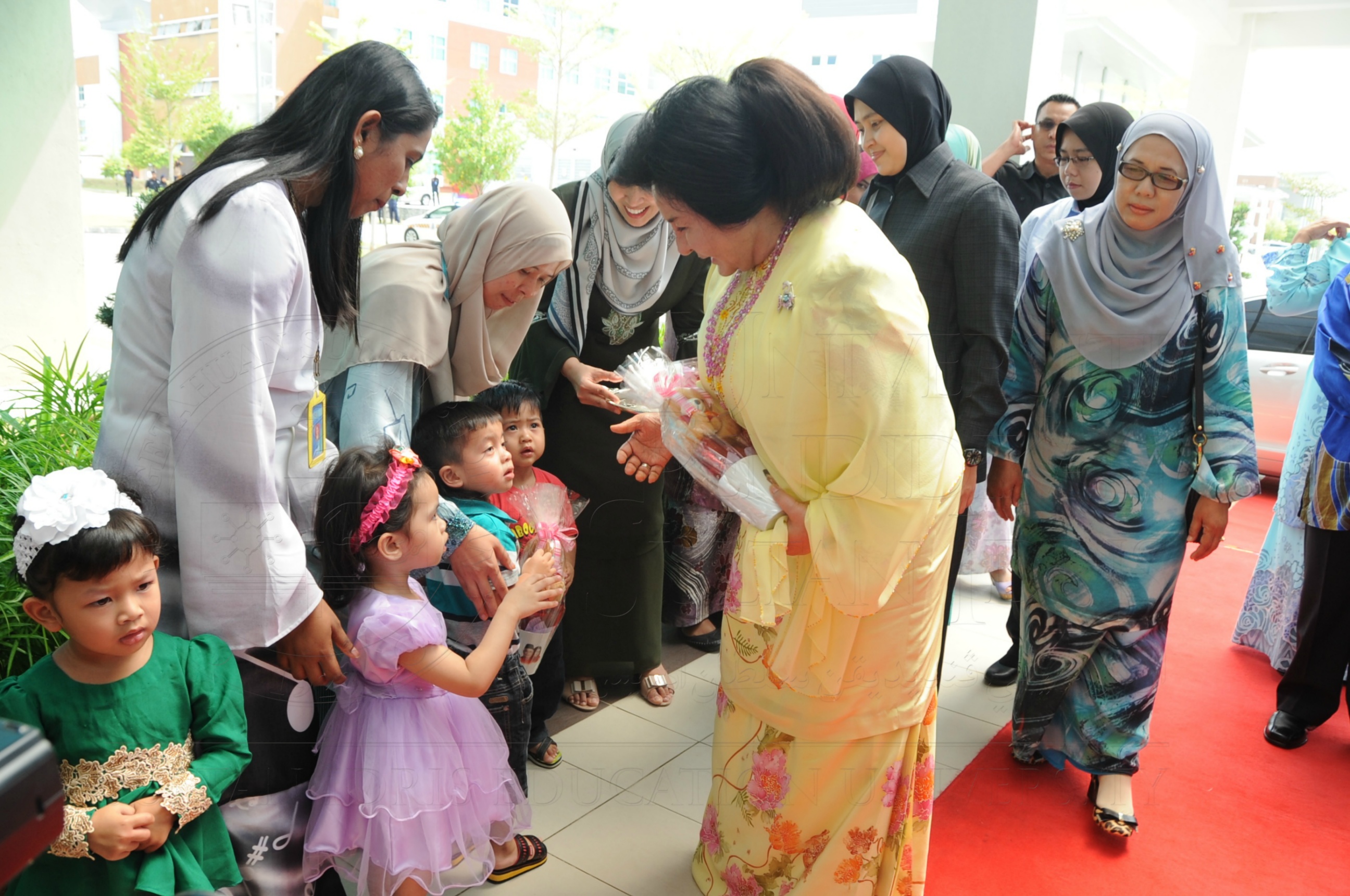 PRO16 32 NCDC HAS 3381